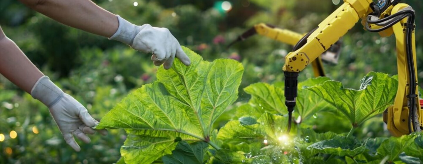 robotica na agricultura