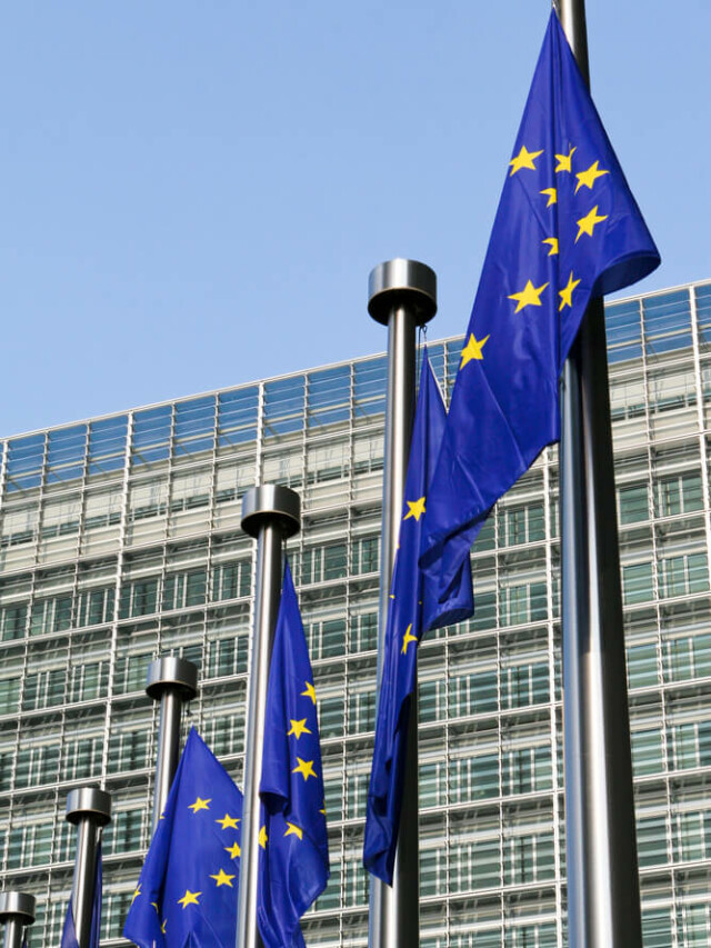 A União Europeia vai proibir a entrada de produtos oriundos de áreas de desmatamento