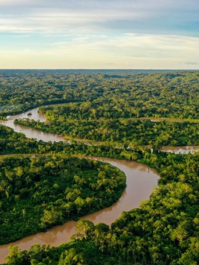 COP 30 é uma oportunidade de aproximar a Amazônia do mundo