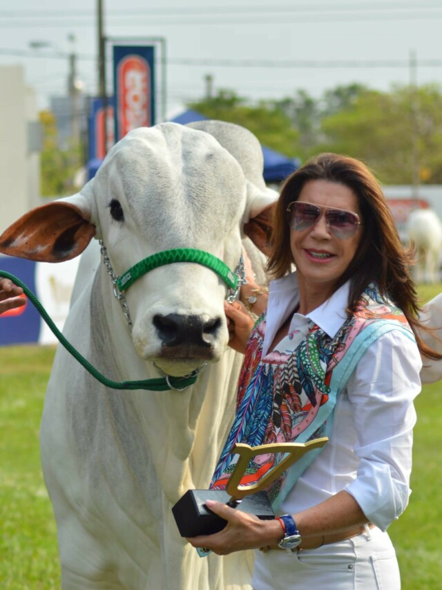 Brasileira ganha prêmio por melhoramento genético de gado Nelore