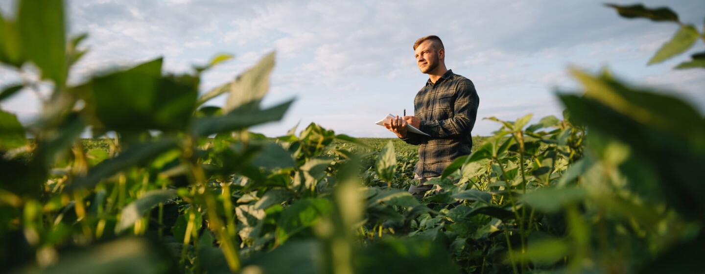 censo agropecuario americano