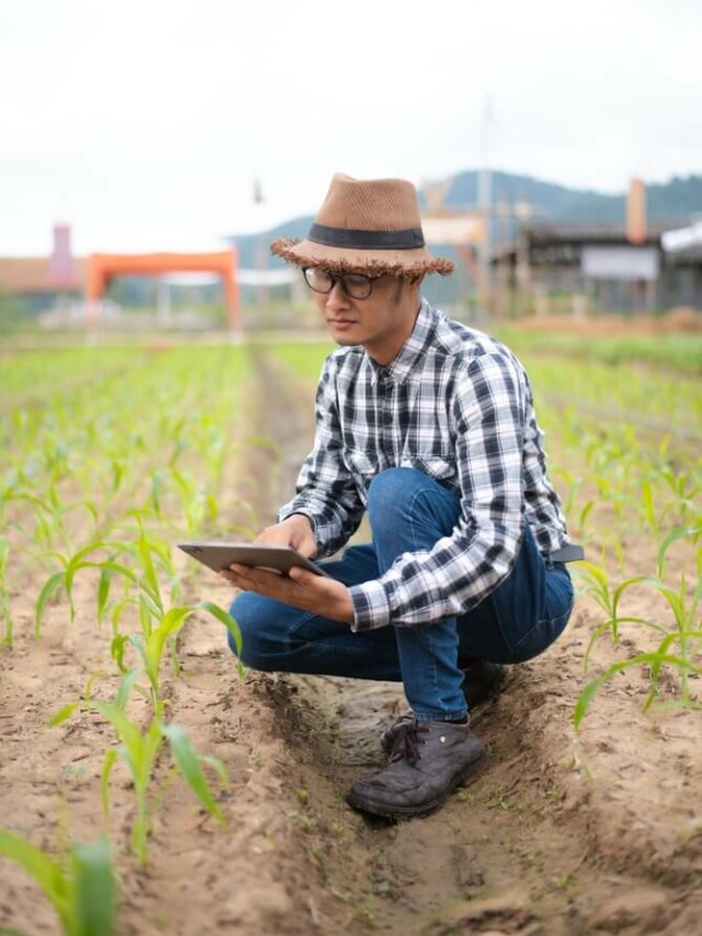 Já ouviu falar em smart farming?