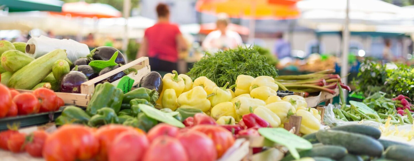 seguranca alimentar na america latina
