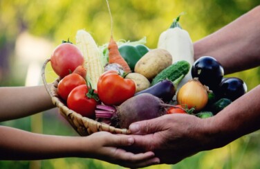 desperdicio de alimentos