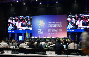 brasil cop16