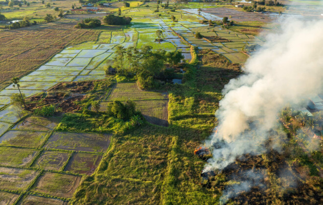 fogo agricultura